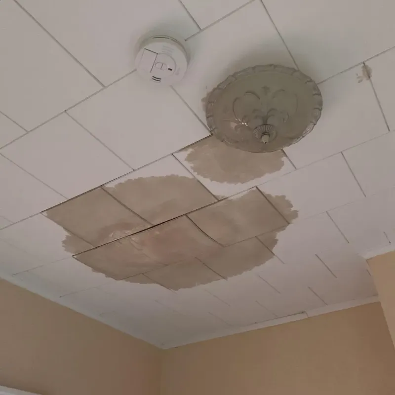 Ceiling Water Damage Repair in Delta, OH