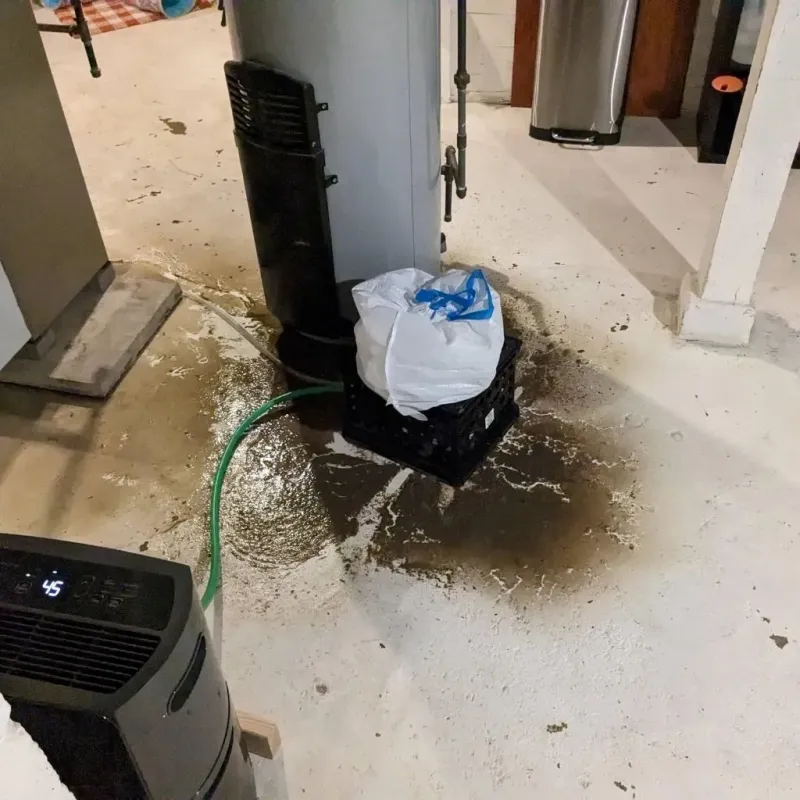 Sewage Backup Cleanup Service in Delta, OH